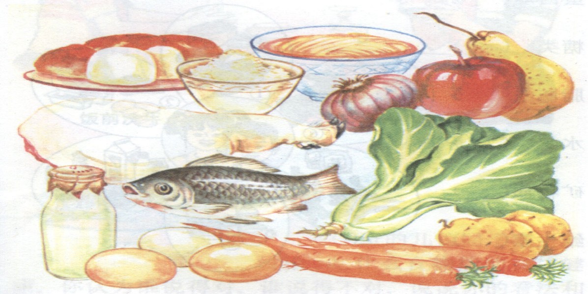 食物种类 七大类 第1张