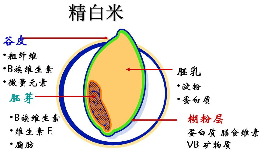 香米 精白米 糙米 第1张